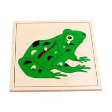 Frog Puzzle