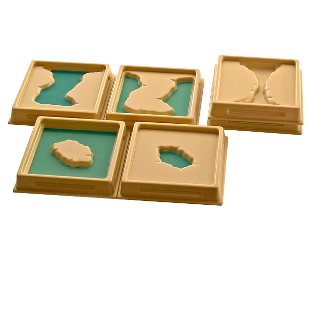 1st Set of Land and Water Form Trays